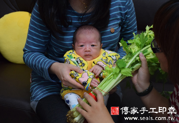 林寶寶(南投草屯到府嬰兒寶寶滿月剃頭理髮、免費到府嬰兒剃胎毛儀式吉祥話)。到府剃頭剃胎毛主持、專業拍照、DVD光碟、證書。★購買「臍帶章、肚臍章、胎毛筆刷印章」贈送：剃頭、收涎、抓周，三選一。2015.12.08 照片9